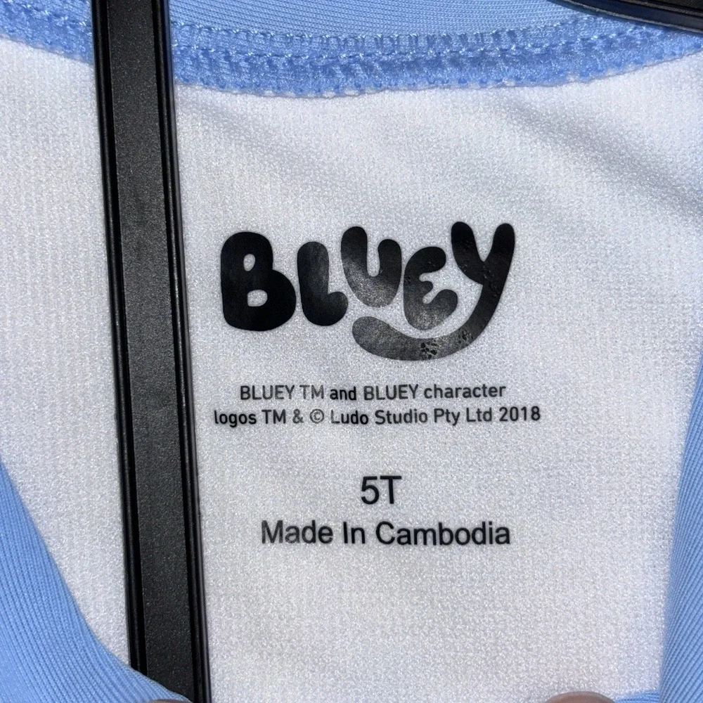 Bluey 2-piece Long Sleeve Rashguard swimsuit Swim lessons‎ UPF 50+  2T Beach